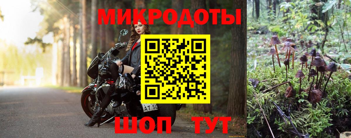Псилоцибиновые грибы Cubensis Бугуруслан